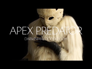 apex predator   darwinian voodoo   ad