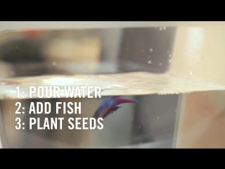 aquafarm by back to the roots - video introduction