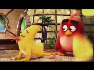 fake r rated trailers - angry birds