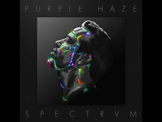 purple haze - spectrvm (extended) (random pic video)