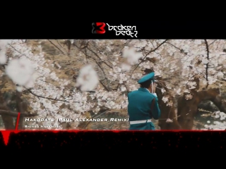 shingo nakamura - hakodate (paul alexander remix) [music video]