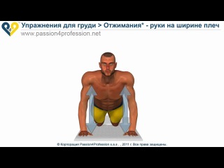 chest exercise - pushups / hands at shoulder width