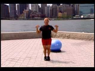 david kirsch - the ultimate new york body plan - 2 - fitness test